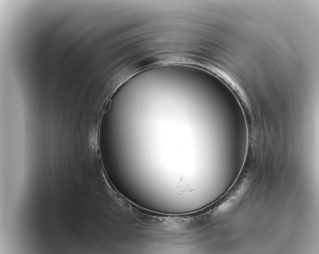 X0000096420905200801311410