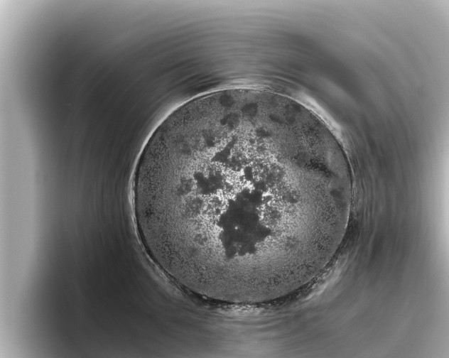 X0000096420907200801311410