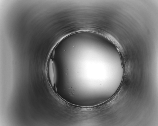 X0000096420908200801311410