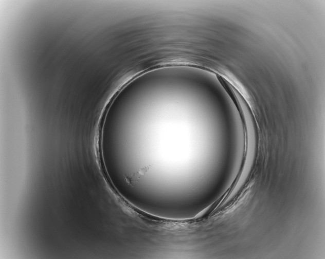 X0000096420909200801311410