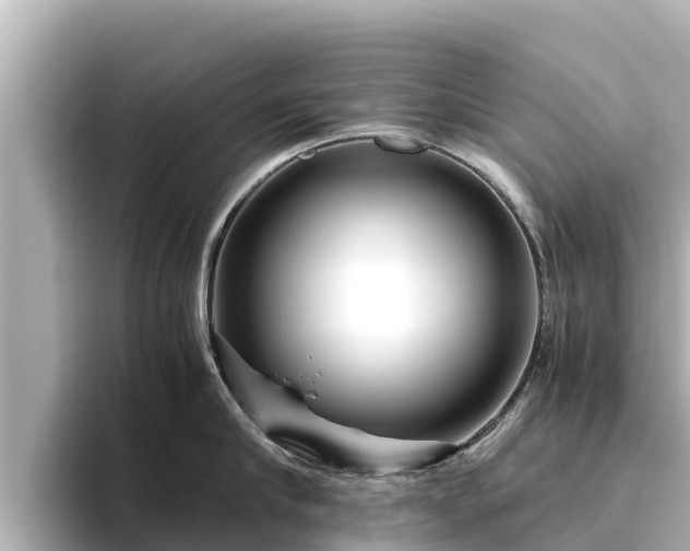 X0000096420910200801311410
