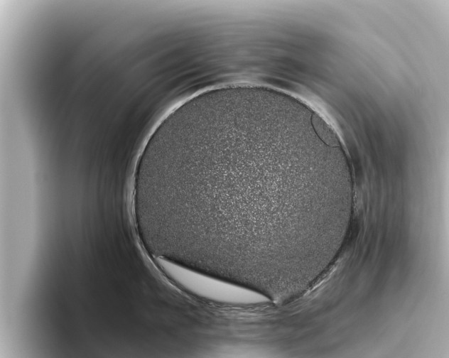 X0000096420911200801311410