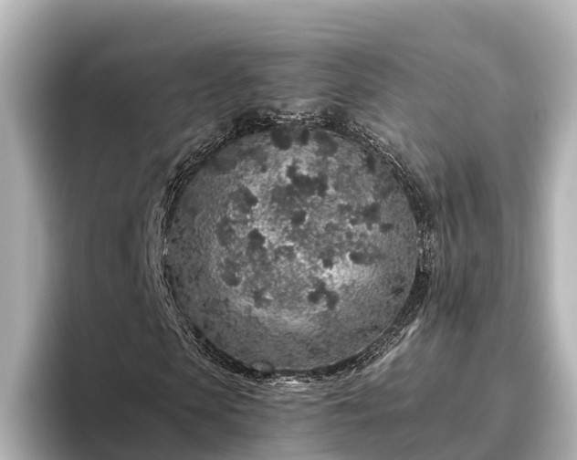 X0000096420913200801311409