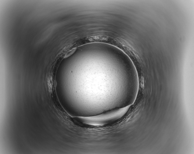 X0000096420915200801311409