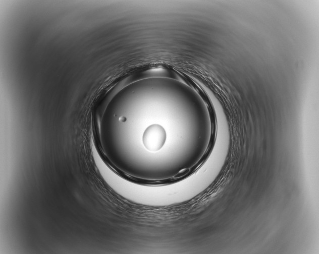 X0000096420916200801311409