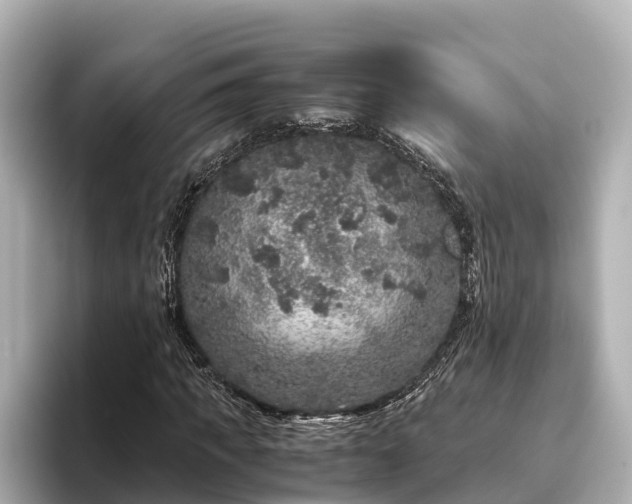 X0000096420917200801311409