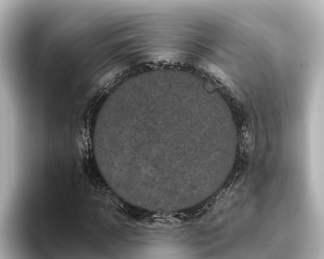 X0000096420918200801311409