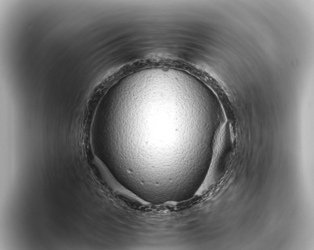 X0000096420919200801311409