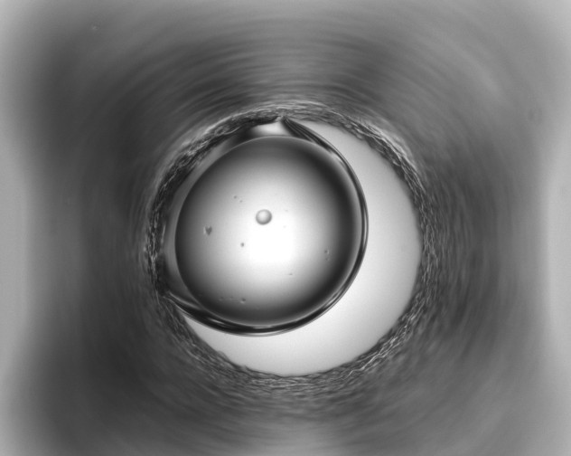 X0000096420920200801311409