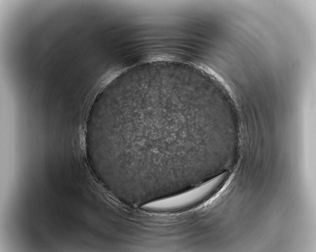 X0000096420921200801311409