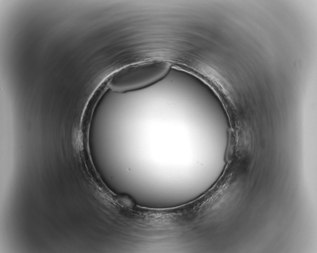 X0000096420924200801311409