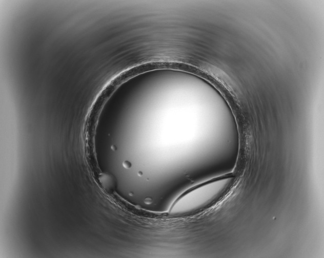 X0000096420926200801311409