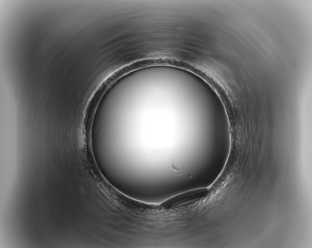 X0000096420927200801311409