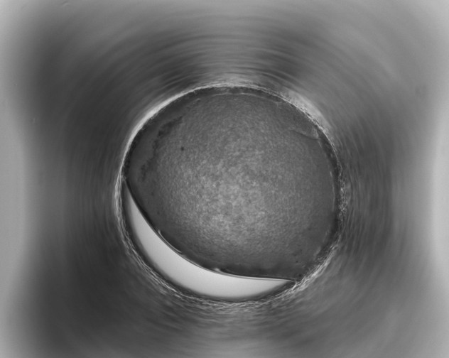 X0000096420928200801311409