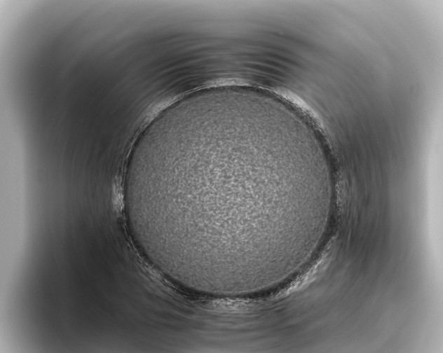 X0000096420929200801311409