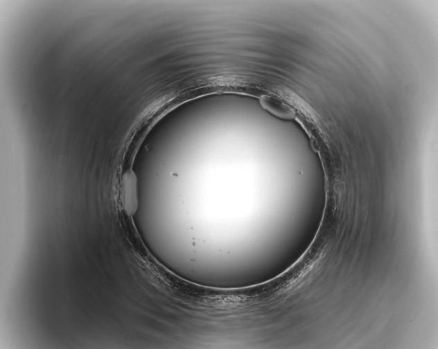 X0000096420930200801311409