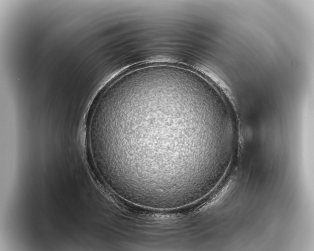 X0000096420933200801311409