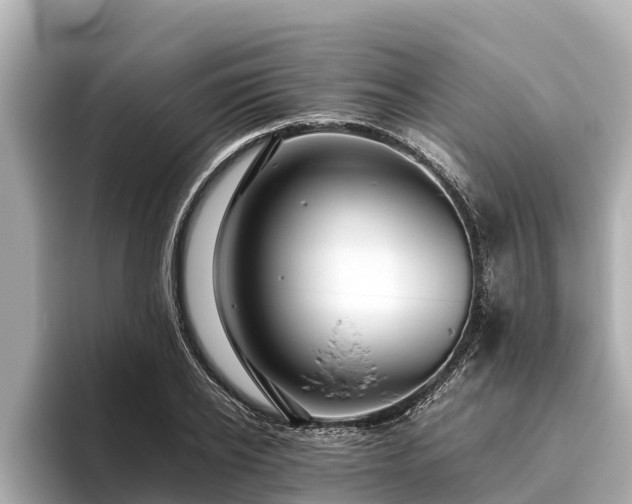 X0000096420934200801311409