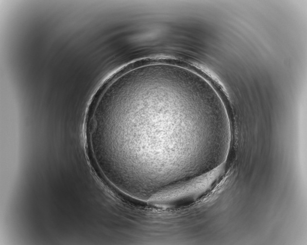 X0000096420935200801311409