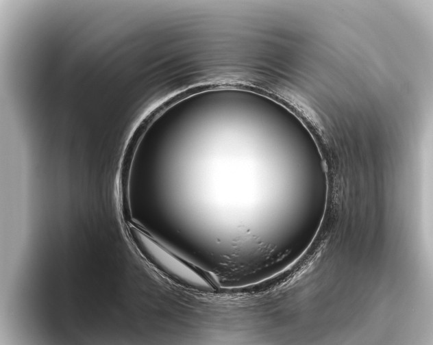 X0000096420936200801311409