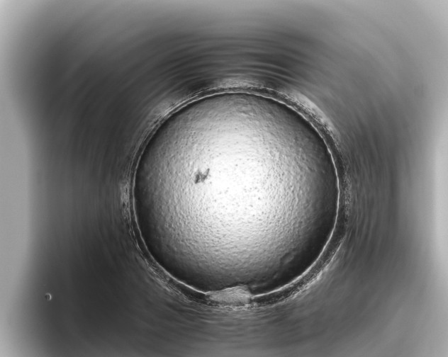 X0000096420937200801311409