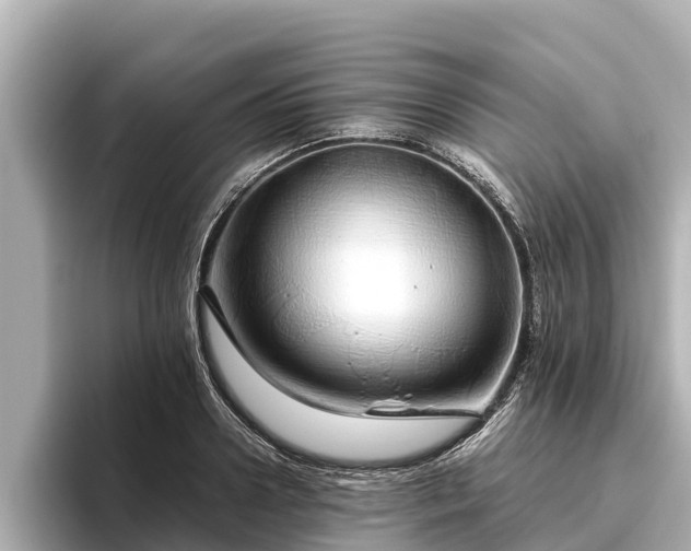 X0000096420938200801311409
