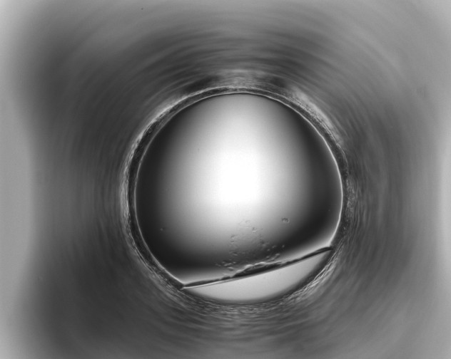 X0000096420939200801311409