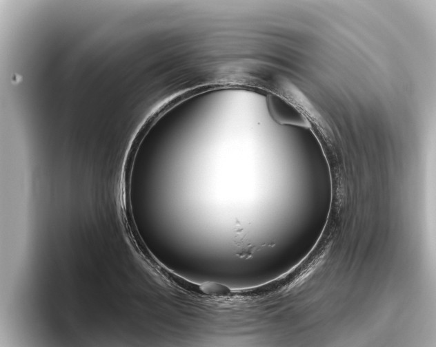 X0000096420940200801311409