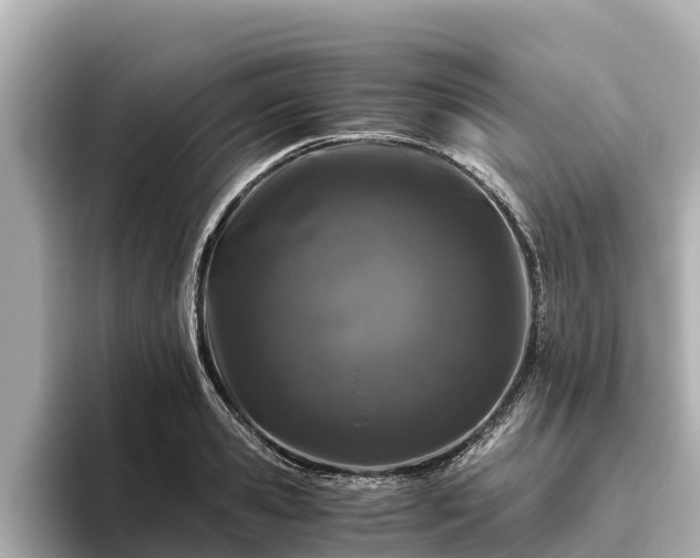 X0000096420941200801311409
