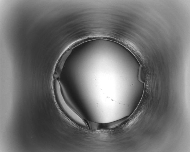 X0000096420942200801311409