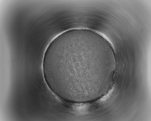 X0000096420943200801311409