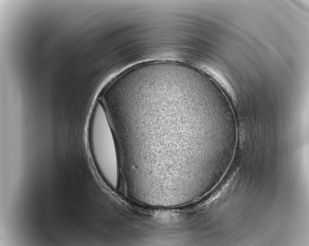X0000096420944200801311409