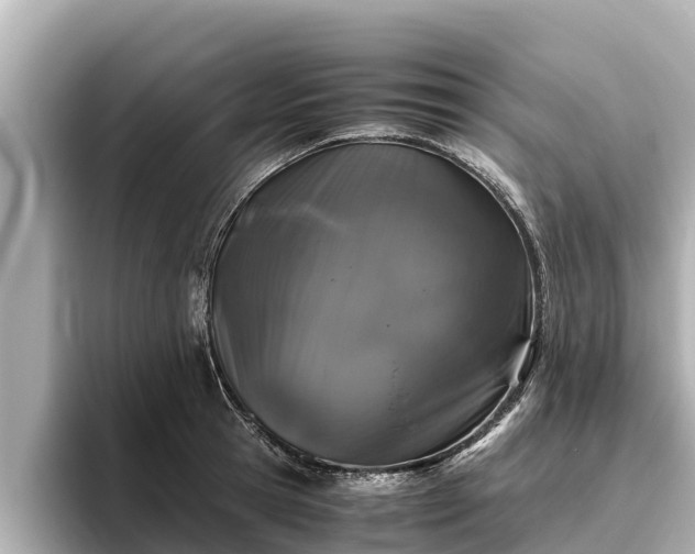 X0000096420945200801311409