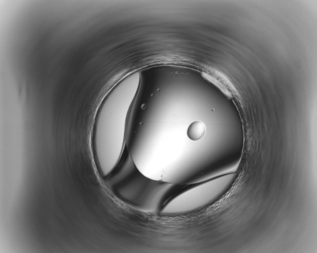 X0000096420946200801311409