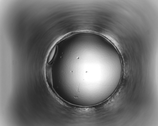 X0000096420949200801311409