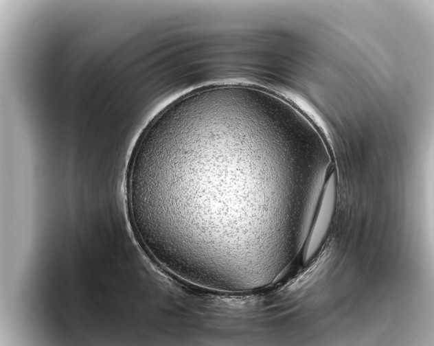 X0000096420951200801311410