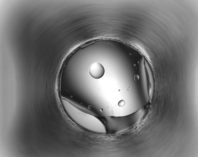 X0000096420952200801311410