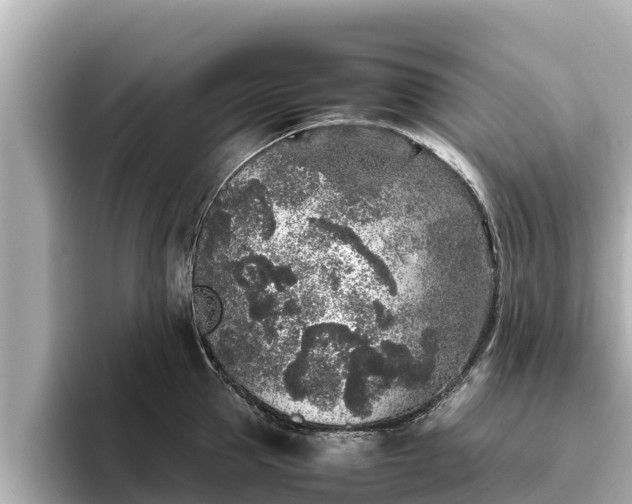 X0000096420953200801311410