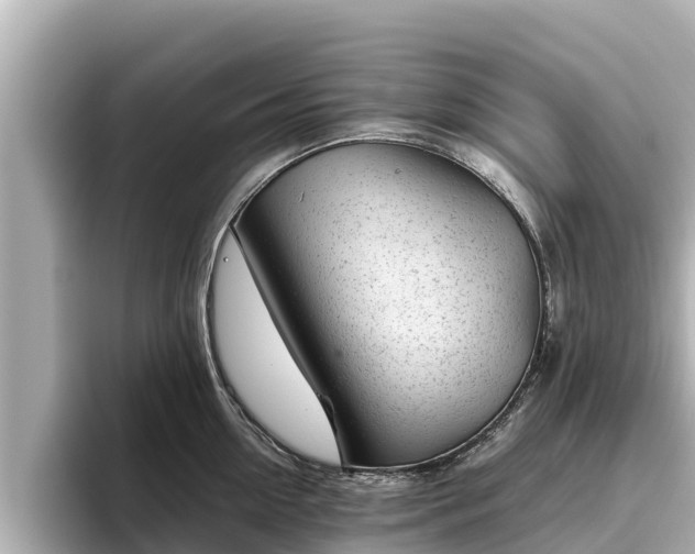 X0000096420954200801311410