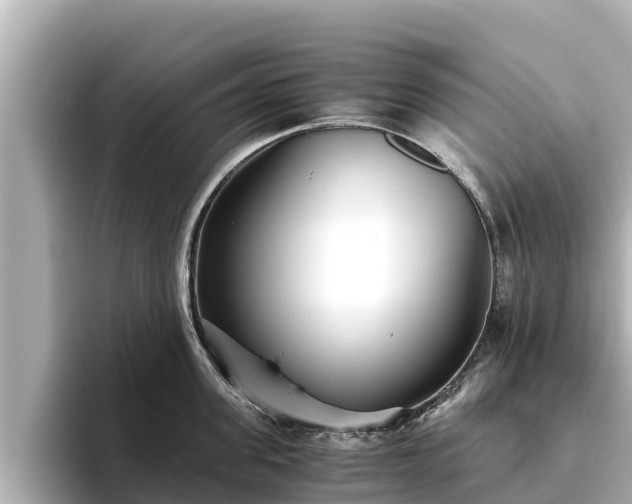 X0000096420955200801311410