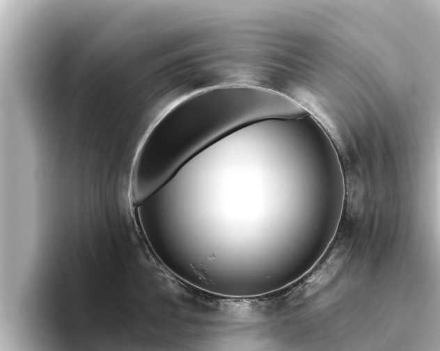 X0000096420956200801311410