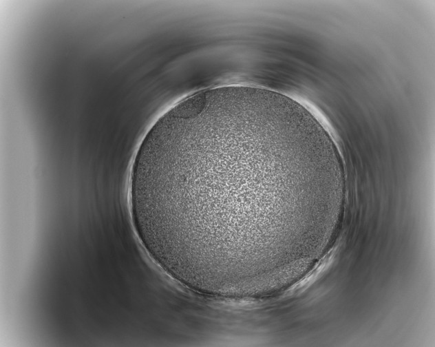 X0000096420957200801311410