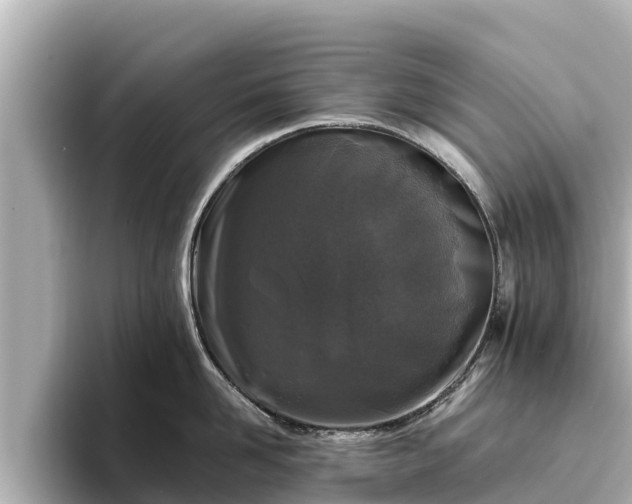 X0000096420958200801311410