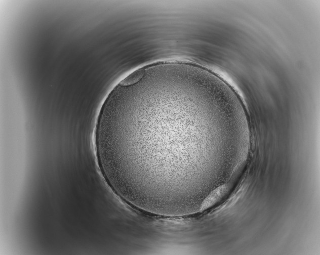 X0000096420959200801311410