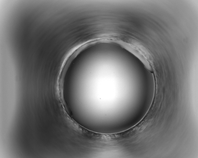 X0000096420960200801311410