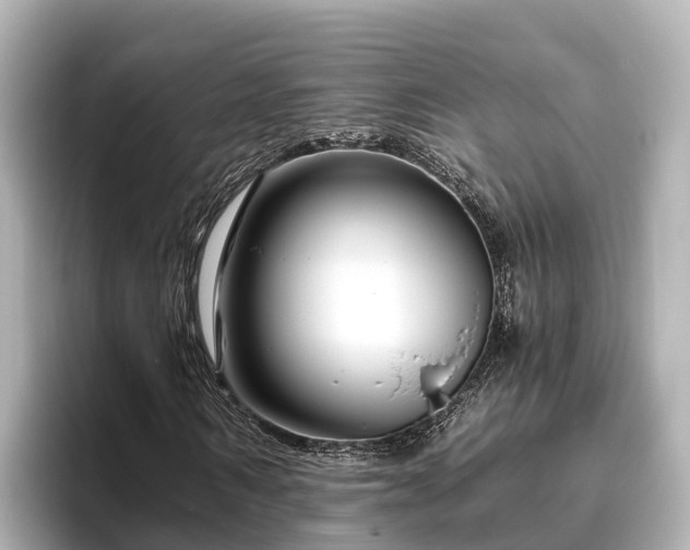 X0000096420962200801311409