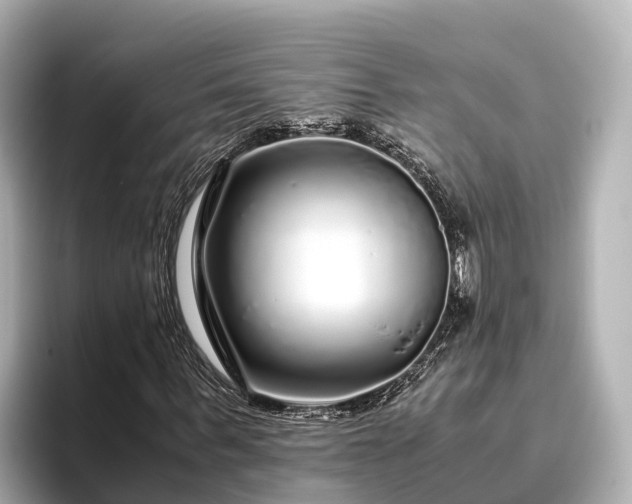 X0000096420963200801311409