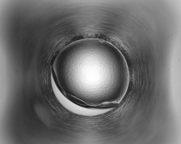 X0000096420964200801311409