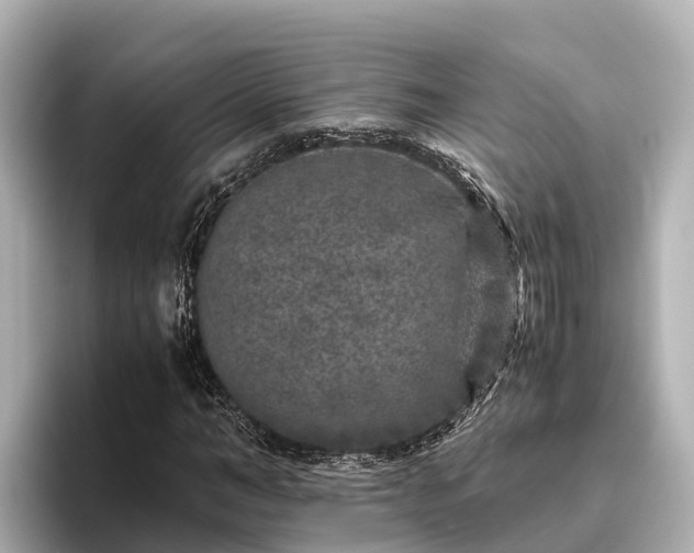 X0000096420966200801311409
