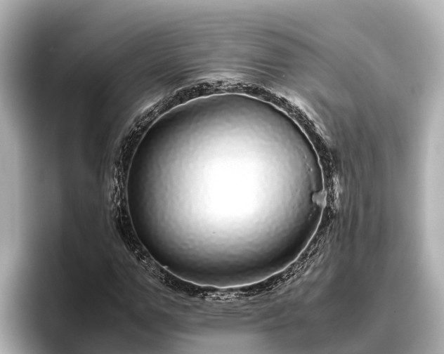 X0000096420967200801311409